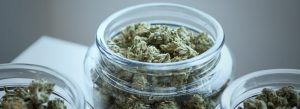 cannabis-banner-security-cage